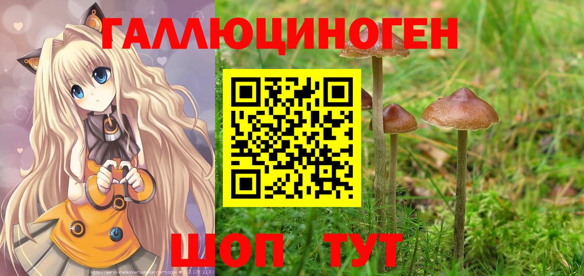 Псилоцибиновые грибы MAGIC MUSHROOMS Кизляр