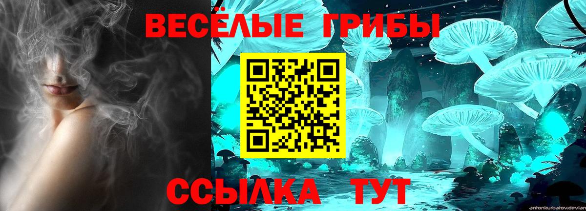 Галлюциногенные грибы GOLDEN TEACHER  Вход с VPN  Галлюциногенные грибы Psilocybe  Кизляр 